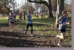 Begles 15.12.13 01 731 * 679 x 453 * (219KB)